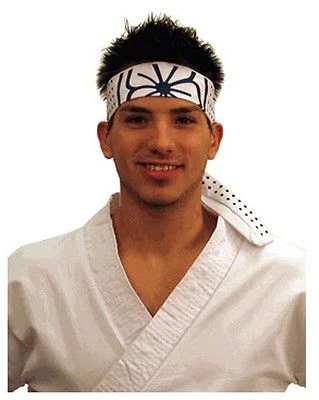 Costume Agent Karate Kid Headband Headband & Wristbands 1 Costume Agent Karate Kid Headband Headband & Wristbands