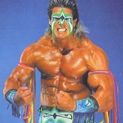 Costume Agent Wrestling Warrior Armbands Reality / Sports / Other